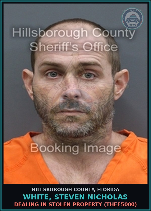 Booking mugshot of WHITE, STEVEN NICHOLAS in Hillsborough County