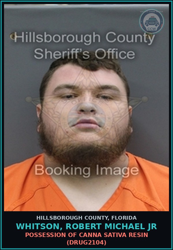 Booking mugshot of WHITSON, ROBERT MICHAEL JR in Hillsborough County