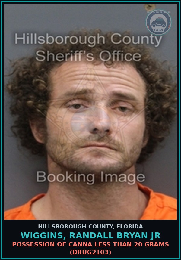 Booking mugshot of WIGGINS, RANDALL BRYAN JR in Hillsborough County