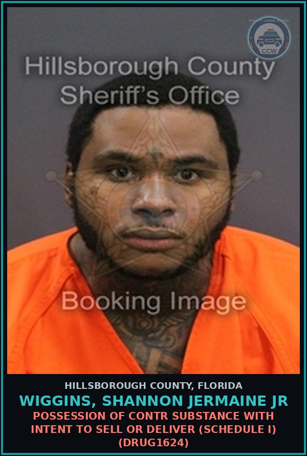 Booking mugshot of WIGGINS, SHANNON JERMAINE JR in Hillsborough County