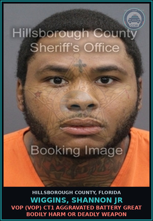 Booking mugshot of WIGGINS, SHANNON JR in Hillsborough County