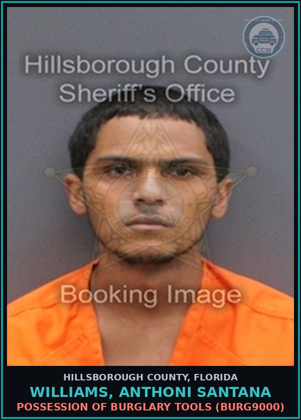 Booking mugshot of WILLIAMS, ANTHONI SANTANA in Hillsborough County