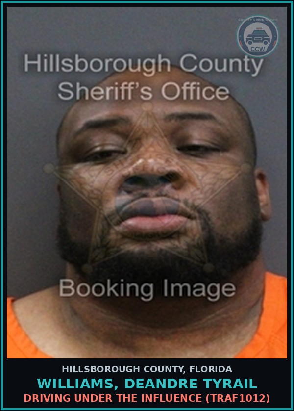 Booking mugshot of WILLIAMS, DEANDRE TYRAIL in Hillsborough County