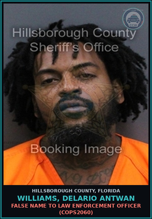 Booking mugshot of WILLIAMS, DELARIO ANTWAN in Hillsborough County