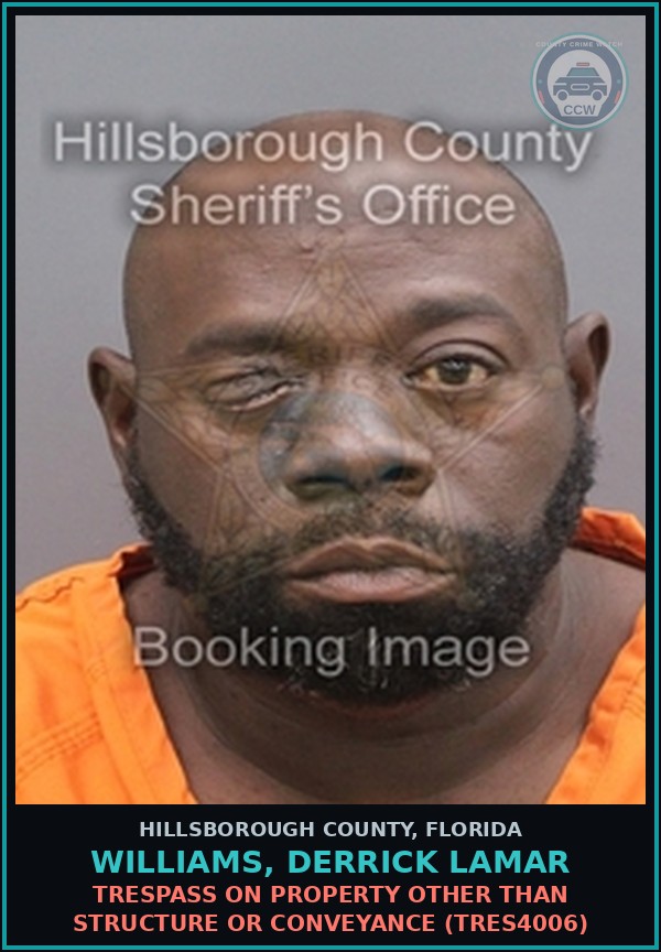 Booking mugshot of WILLIAMS, DERRICK LAMAR in Hillsborough County