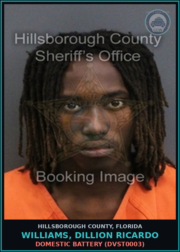 Booking mugshot of WILLIAMS, DILLION RICARDO in Hillsborough County