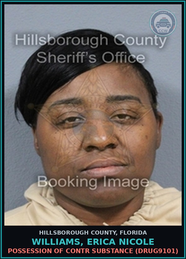 Booking mugshot of WILLIAMS, ERICA NICOLE in Hillsborough County