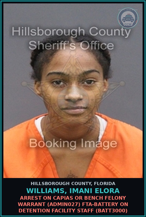 Booking mugshot of WILLIAMS, IMANI ELORA in Hillsborough County