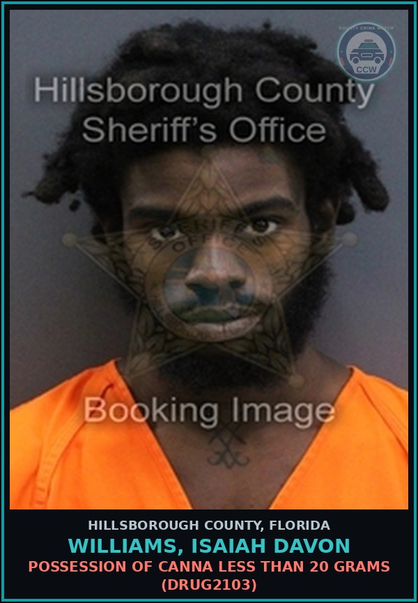 Booking mugshot of WILLIAMS, ISAIAH DAVON in Hillsborough County