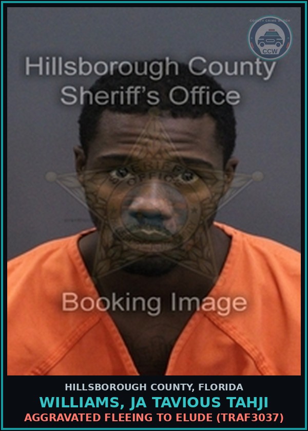 Booking mugshot of WILLIAMS, JA TAVIOUS TAHJI in Hillsborough County