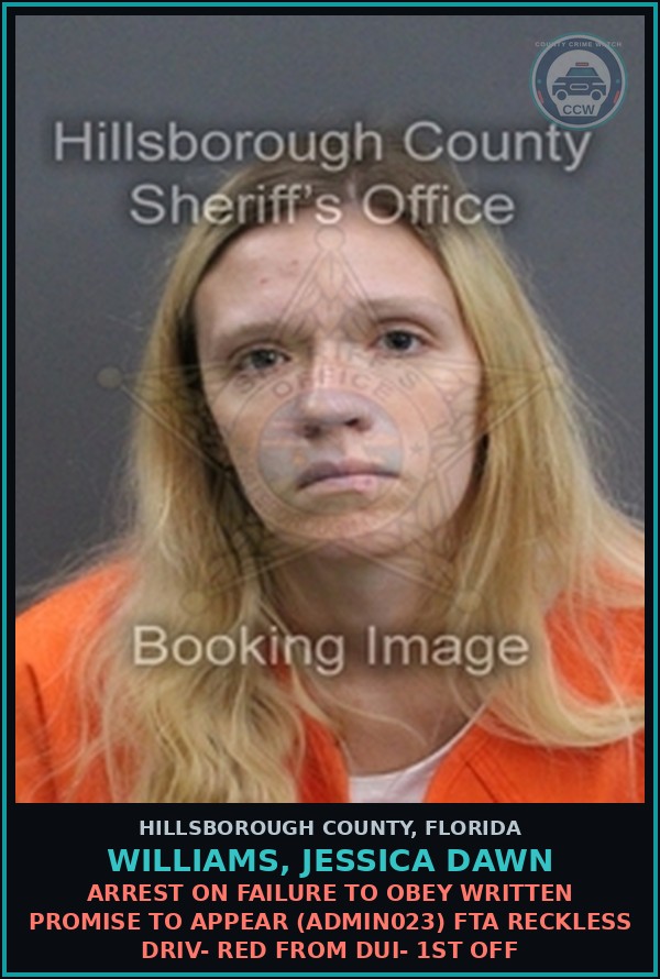 Booking mugshot of WILLIAMS, JESSICA DAWN in Hillsborough County