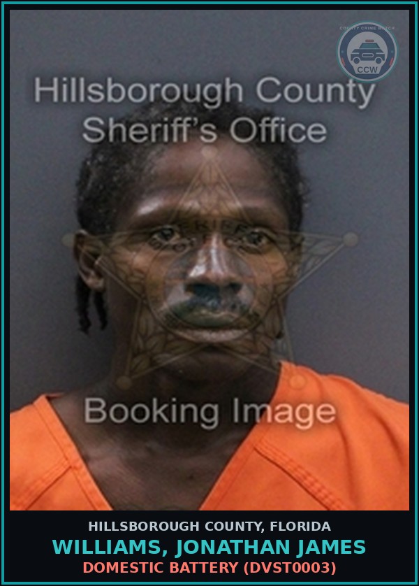 Booking mugshot of WILLIAMS, JONATHAN JAMES in Hillsborough County