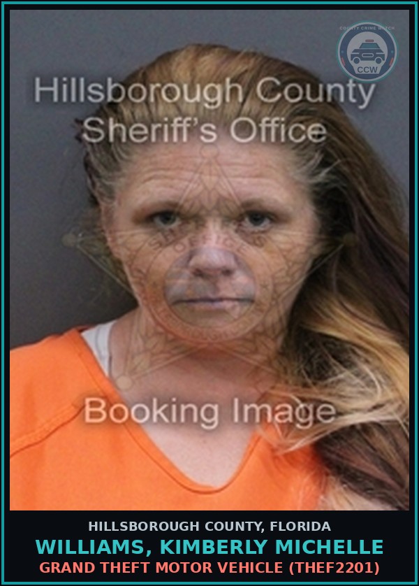 Booking mugshot of WILLIAMS, KIMBERLY MICHELLE in Hillsborough County