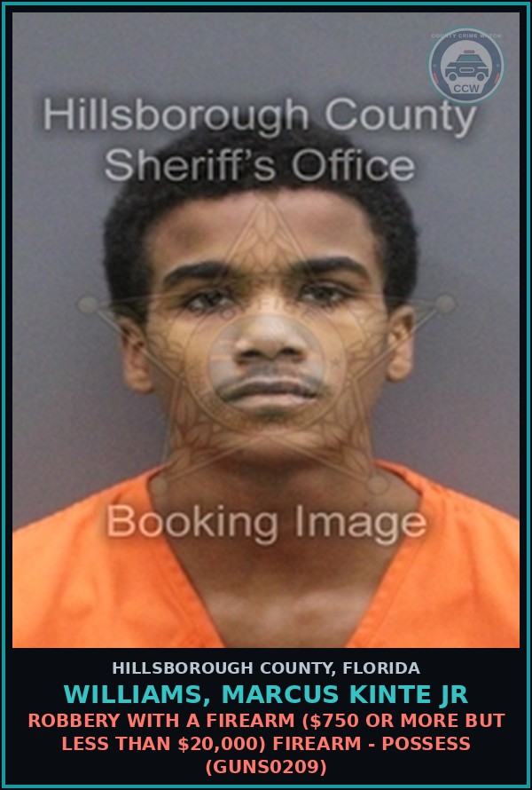 Booking mugshot of WILLIAMS, MARCUS KINTE JR in Hillsborough County