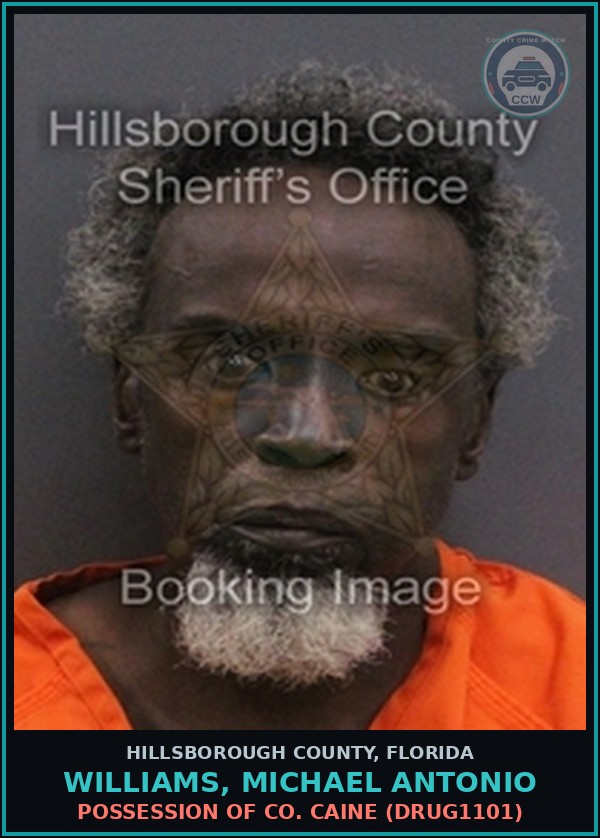 Booking mugshot of WILLIAMS, MICHAEL ANTONIO in Hillsborough County