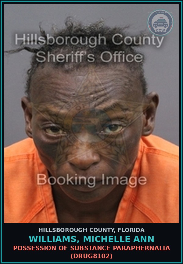 Booking mugshot of WILLIAMS, MICHELLE ANN in Hillsborough County