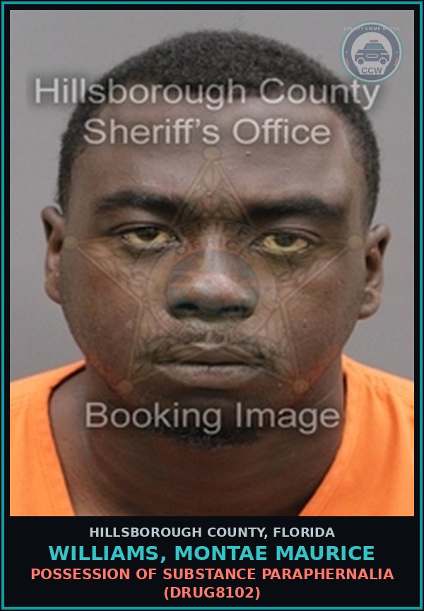 Booking mugshot of WILLIAMS, MONTAE MAURICE in Hillsborough County