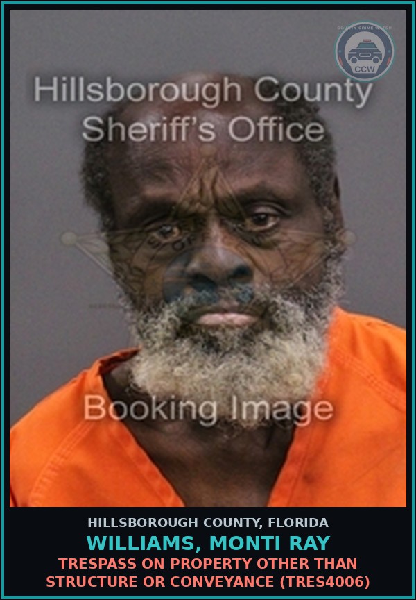 Booking mugshot of WILLIAMS, MONTI RAY in Hillsborough County