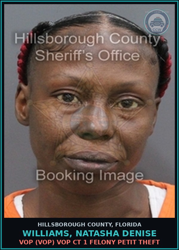 Booking mugshot of WILLIAMS, NATASHA DENISE in Hillsborough County