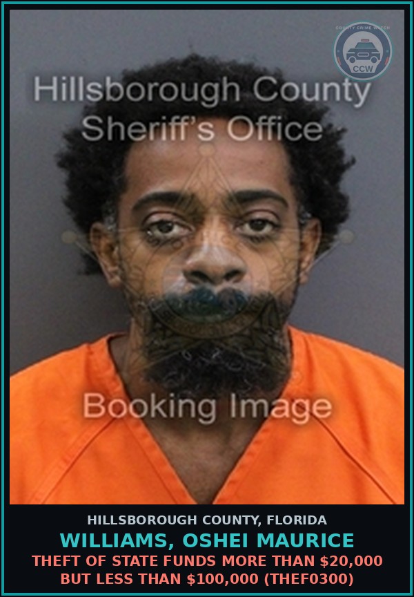 Booking mugshot of WILLIAMS, OSHEI MAURICE in Hillsborough County