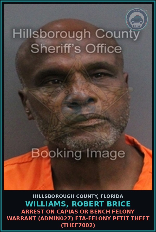 Booking mugshot of WILLIAMS, ROBERT BRICE in Hillsborough County