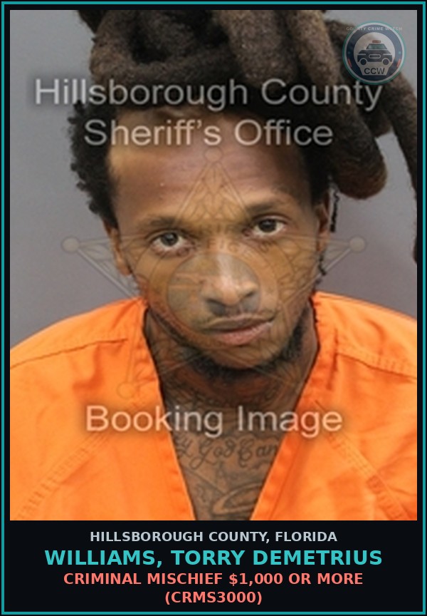 Booking mugshot of WILLIAMS, TORRY DEMETRIUS in Hillsborough County