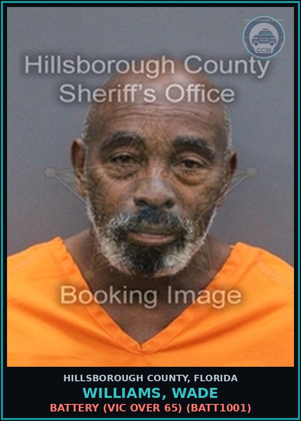 Booking mugshot of WILLIAMS, WADE in Hillsborough County