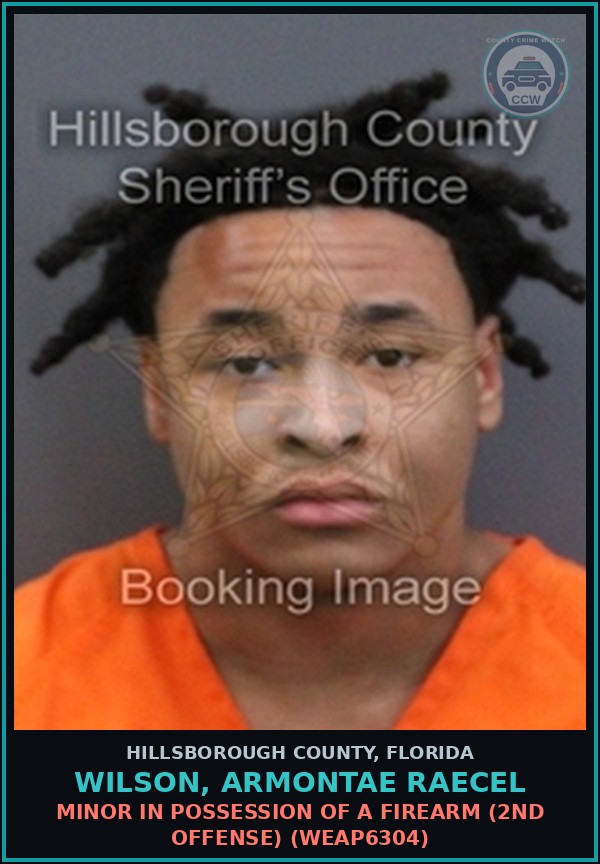 Booking mugshot of WILSON, ARMONTAE RAECEL in Hillsborough County