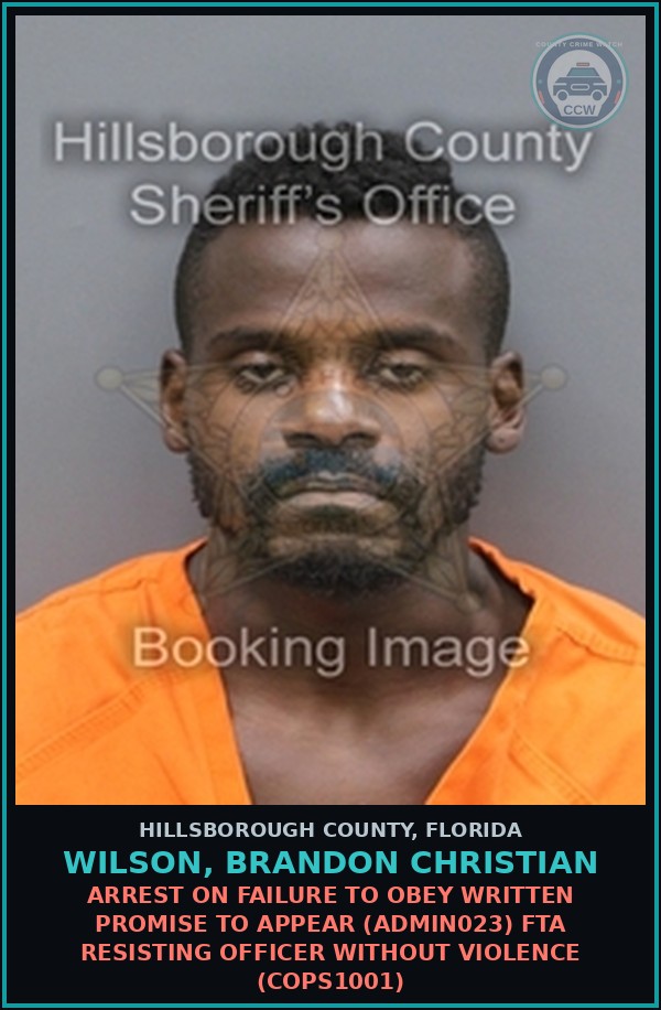 Booking mugshot of WILSON, BRANDON CHRISTIAN in Hillsborough County