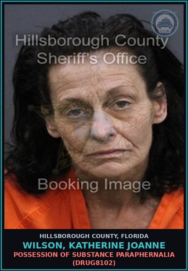 Booking mugshot of WILSON, KATHERINE JOANNE in Hillsborough County