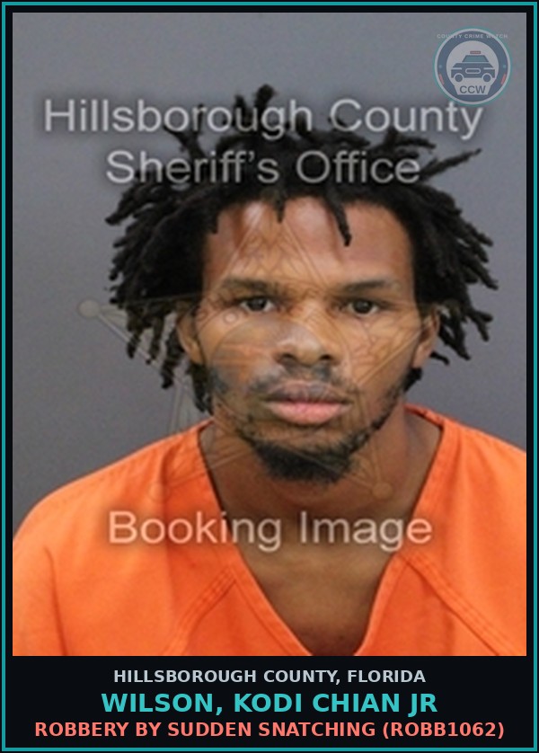 Booking mugshot of WILSON, KODI CHIAN JR in Hillsborough County