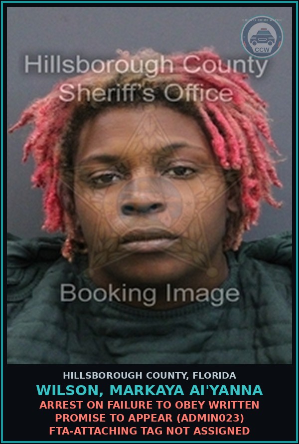Booking mugshot of WILSON, MARKAYA AI'YANNA in Hillsborough County