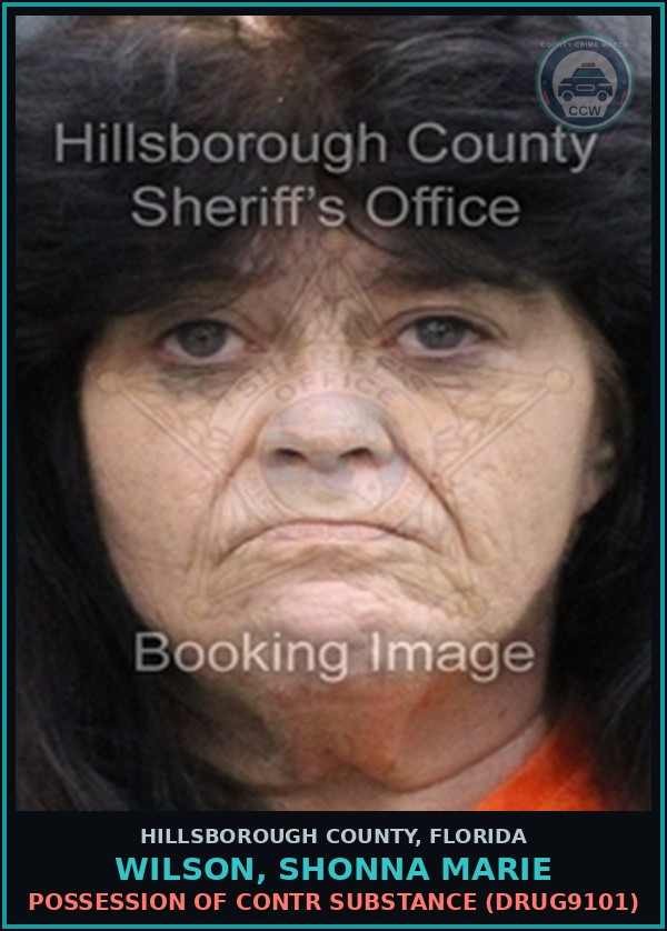 Booking mugshot of WILSON, SHONNA MARIE in Hillsborough County
