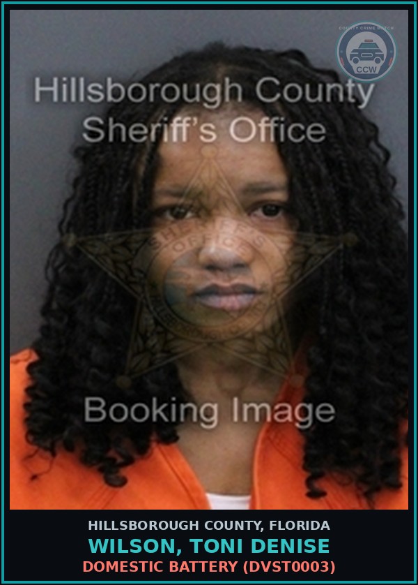 Booking mugshot of WILSON, TONI DENISE in Hillsborough County