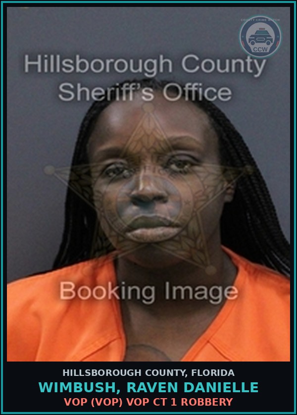 Booking mugshot of WIMBUSH, RAVEN DANIELLE in Hillsborough County