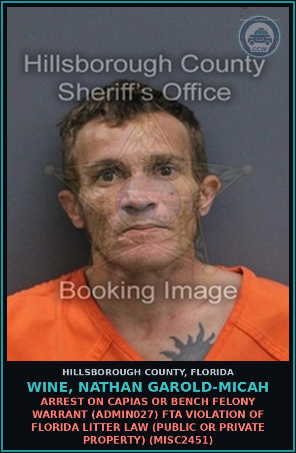 Booking mugshot of WINE, NATHAN GAROLD-MICAH in Hillsborough County
