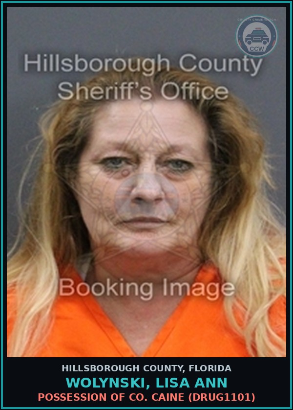 Booking mugshot of WOLYNSKI, LISA ANN in Hillsborough County