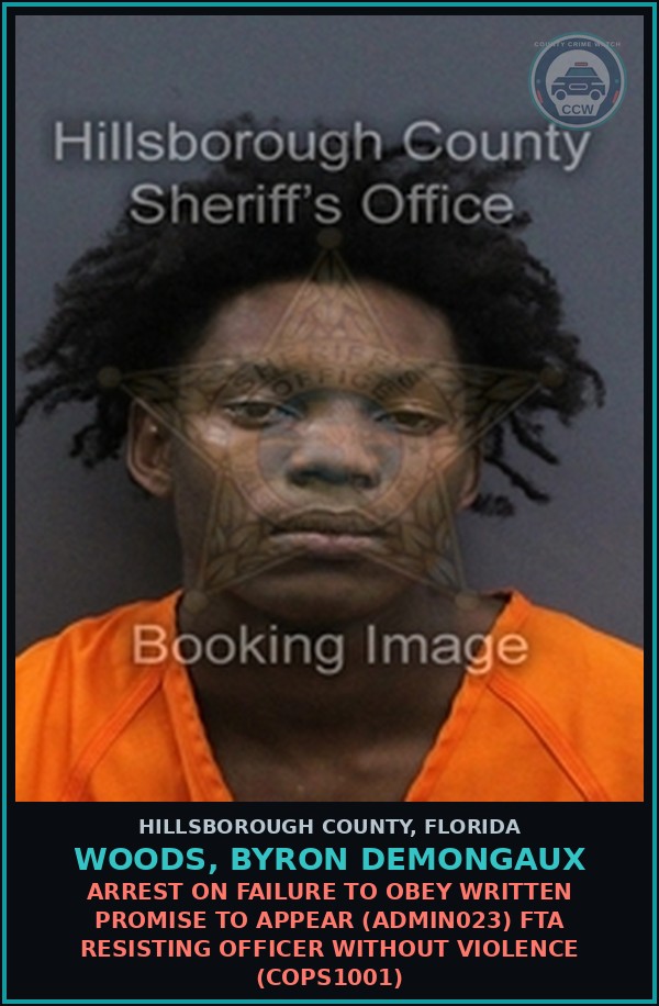 Booking mugshot of WOODS, BYRON DEMONGAUX in Hillsborough County