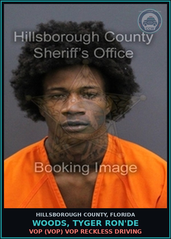 Booking mugshot of WOODS, TYGER RON'DE in Hillsborough County