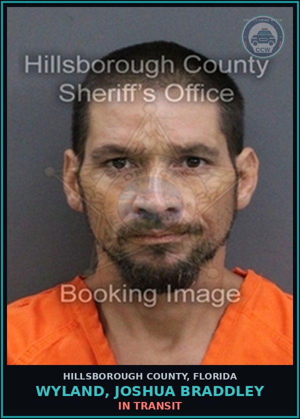 Booking mugshot of WYLAND, JOSHUA BRADDLEY in Hillsborough County