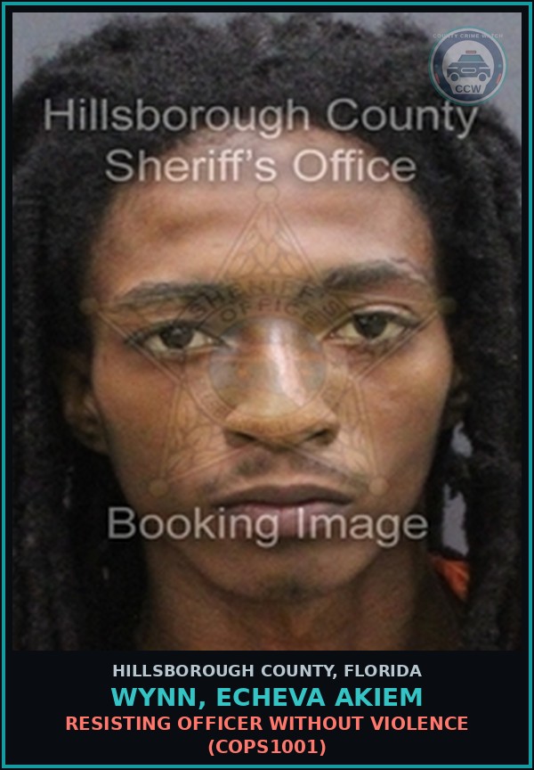 Booking mugshot of WYNN, ECHEVA AKIEM in Hillsborough County