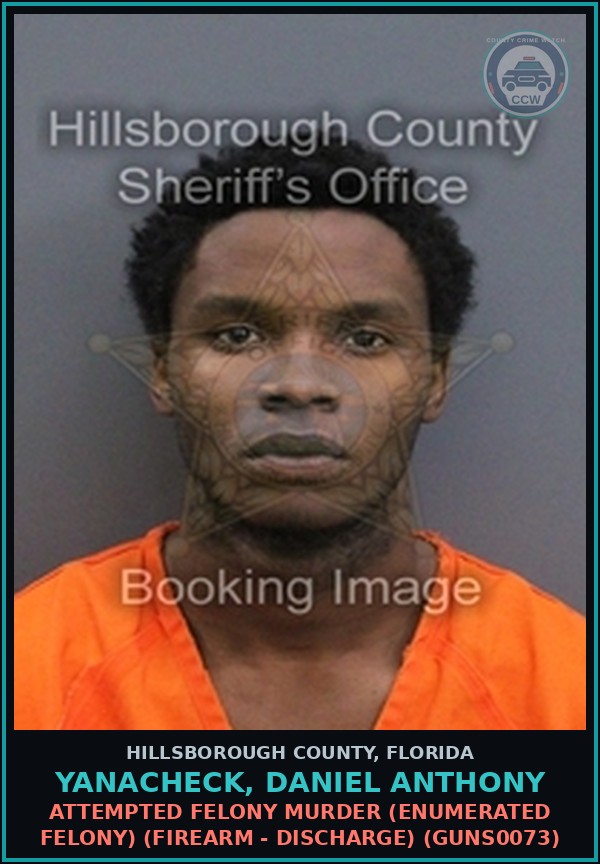 Booking mugshot of YANACHECK, DANIEL ANTHONY in Hillsborough County