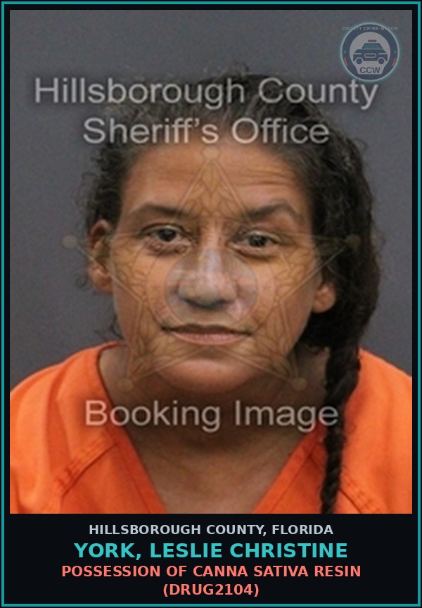 Booking mugshot of YORK, LESLIE CHRISTINE in Hillsborough County