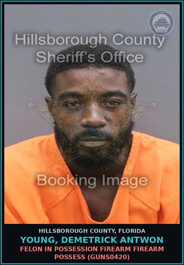 Booking mugshot of YOUNG, DEMETRICK ANTWON in Hillsborough County