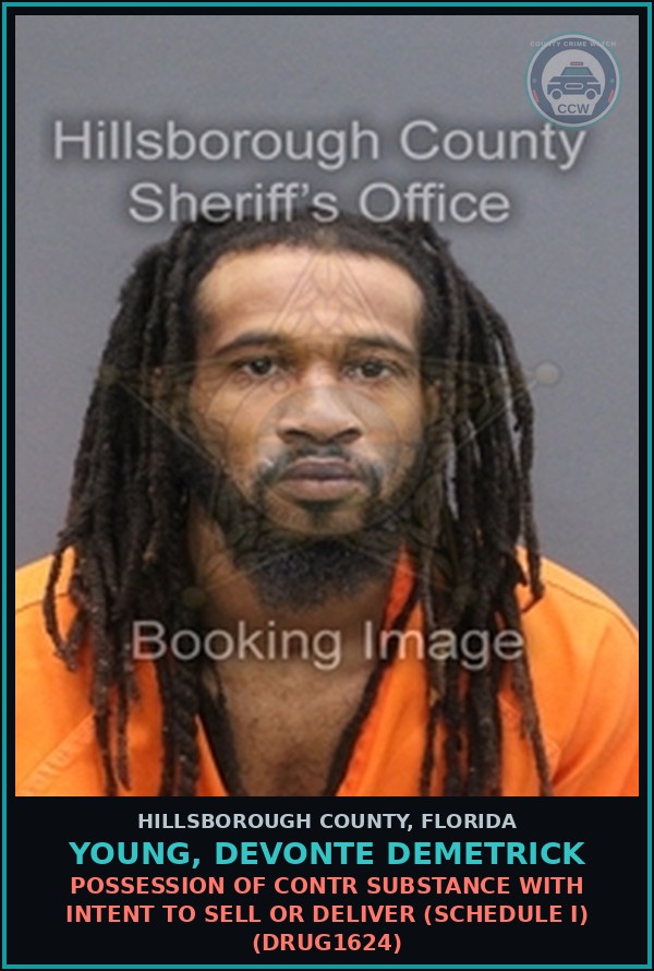 Booking mugshot of YOUNG, DEVONTE DEMETRICK in Hillsborough County