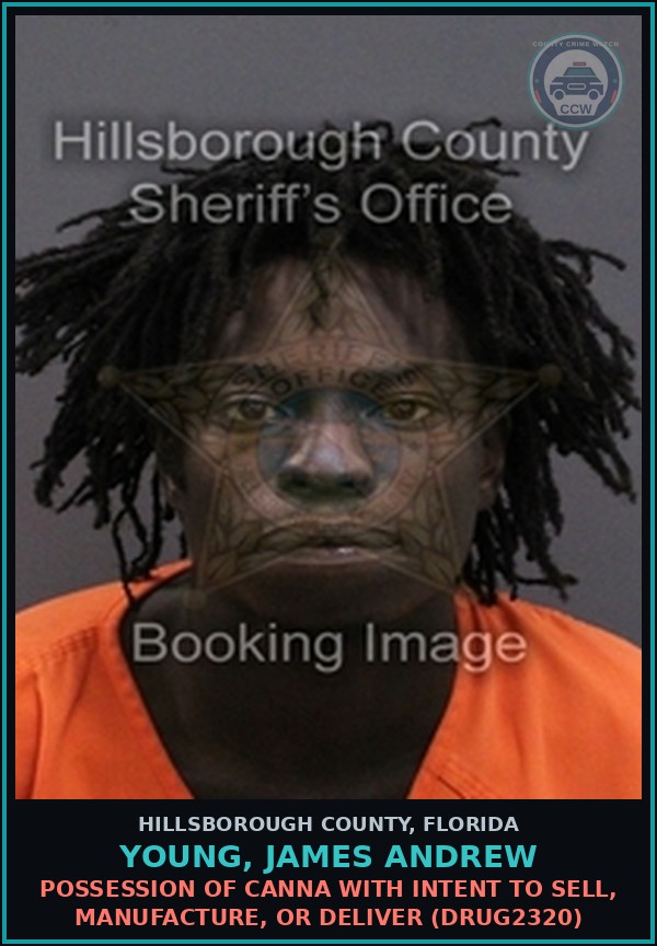 Booking mugshot of YOUNG, JAMES ANDREW in Hillsborough County