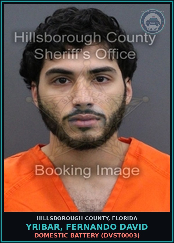 Booking mugshot of YRIBAR, FERNANDO DAVID in Hillsborough County