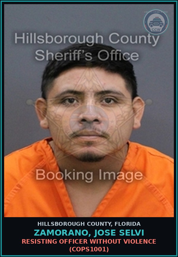 Booking mugshot of ZAMORANO, JOSE SELVI in Hillsborough County