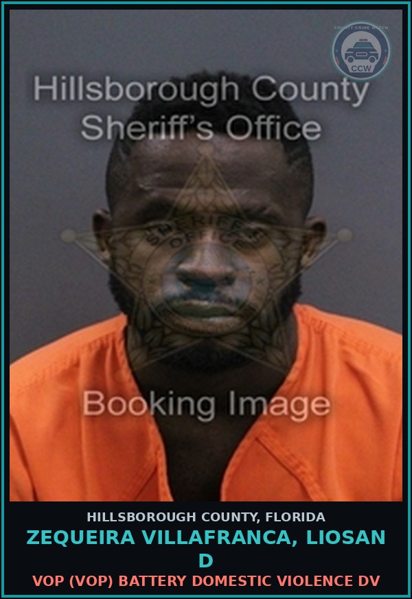 Booking mugshot of ZEQUEIRA VILLAFRANCA, LIOSAN D in Hillsborough County