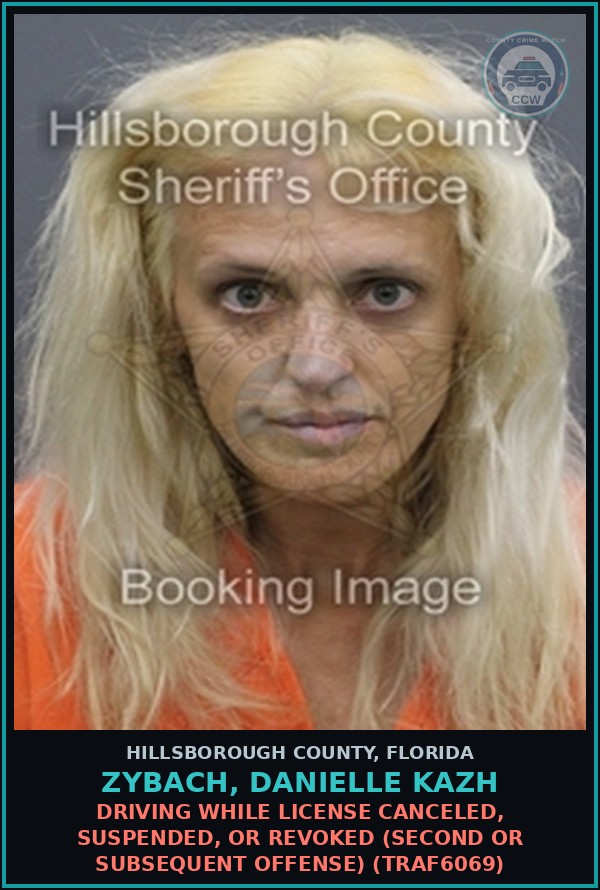 Booking mugshot of ZYBACH, DANIELLE KAZH in Hillsborough County